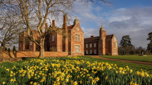 Daffodils at Melford Hall in spring